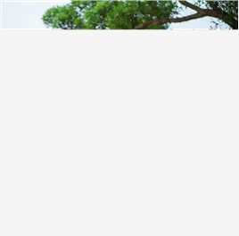 罗新财老师照片