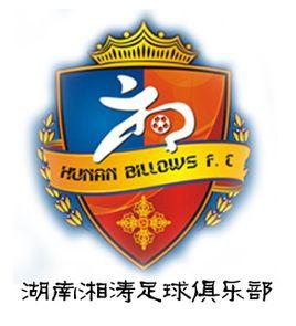 湖南湘涛