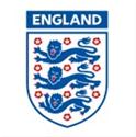 新英格兰革命