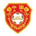中国国家男子足球队