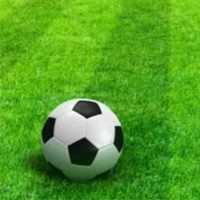 巴西队长老师头像